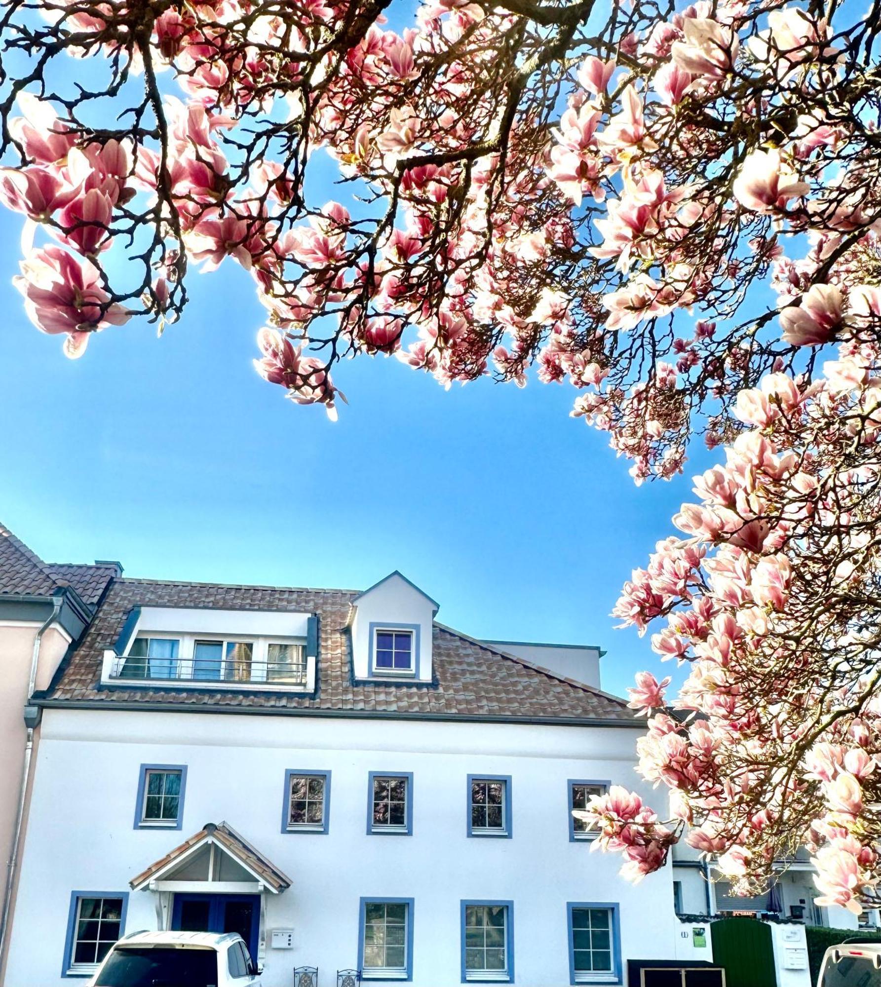 Charmantes Haus Naehe Bonn Koeln Messe Phantasialand Bornheim  Kültér fotó